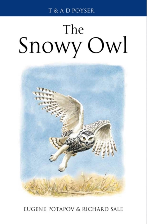 The Snowy Owl 
