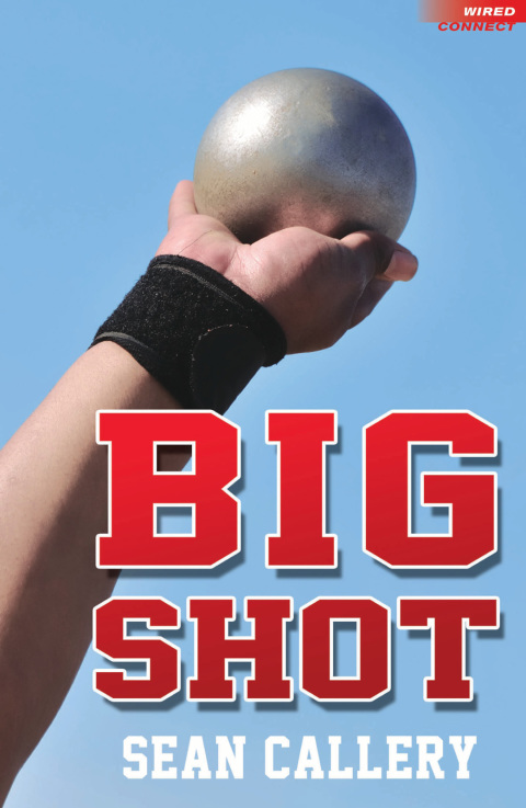 Cover image for book Big Shot