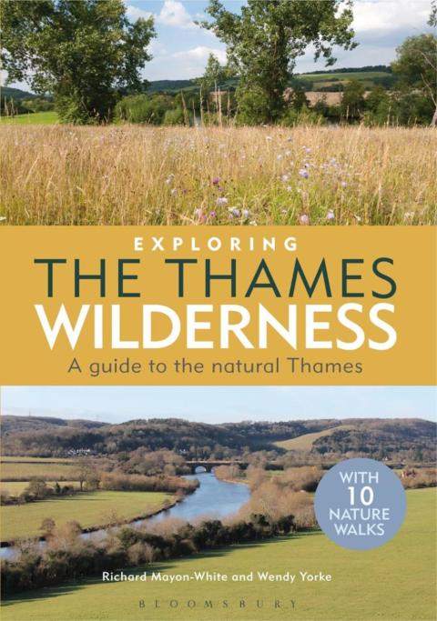 Exploring the Thames Wilderness 