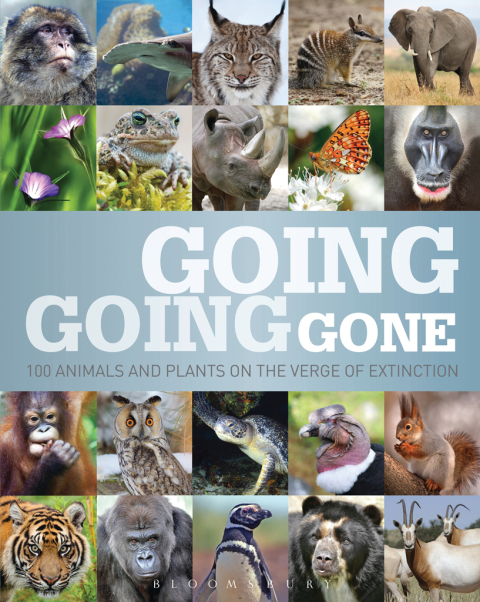 Cover image for book Going, Going, Gone