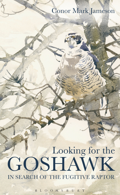 Cover image for book Looking for the Goshawk