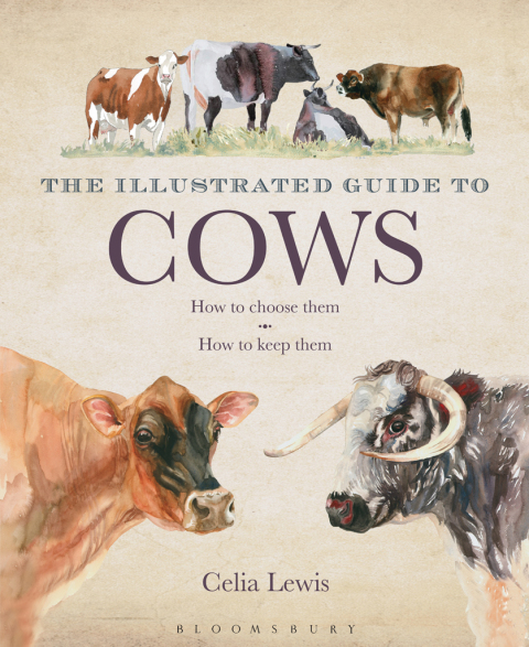 Cover image for book The Illustrated Guide to Cows