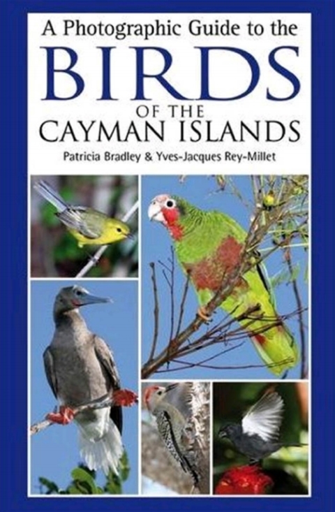 Cover image for book A Photographic Guide to the Birds of the Cayman Islands