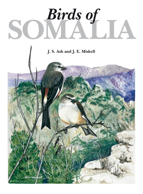 Birds of Somalia 