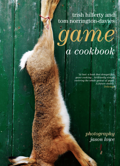 Cover image for book Game