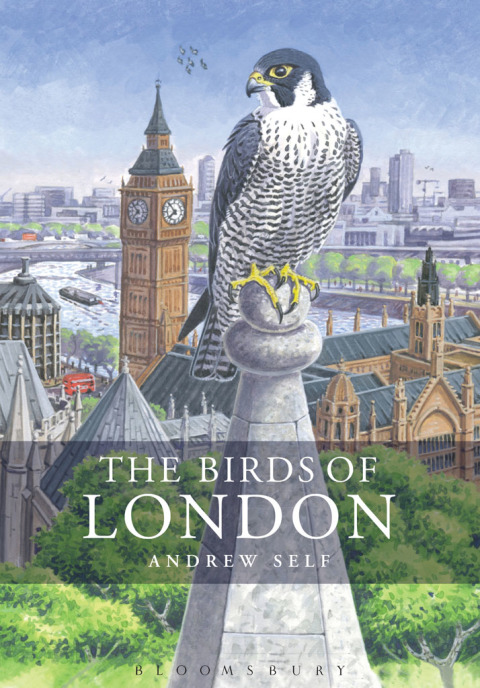 Cover image for book The Birds of London