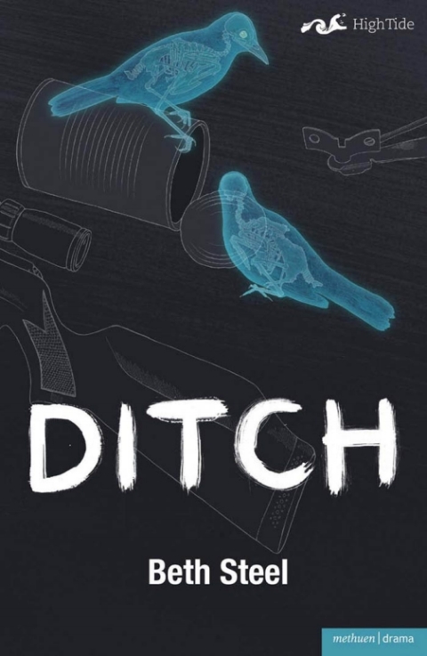 Cover image for book Ditch
