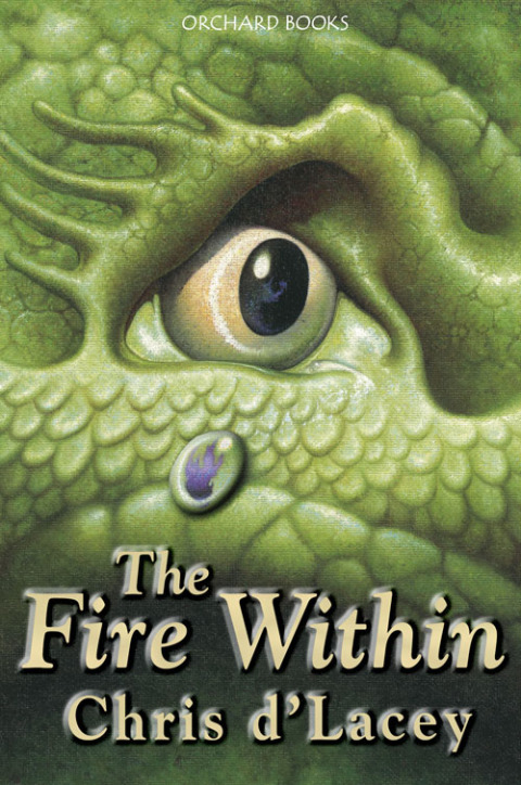 Cover image for book The Fire Within