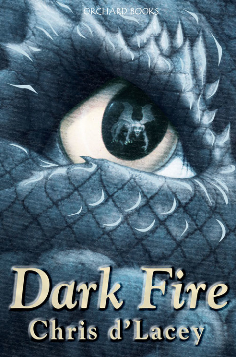 Cover image for book Dark Fire