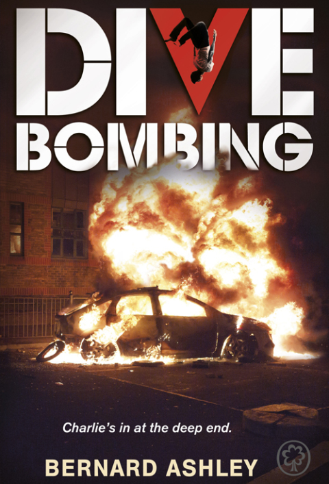 Cover image for book Dive Bombing