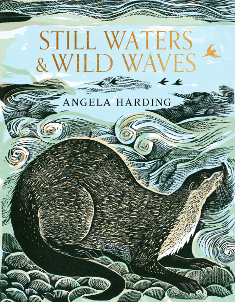 Cover image for book Still Waters & Wild Waves