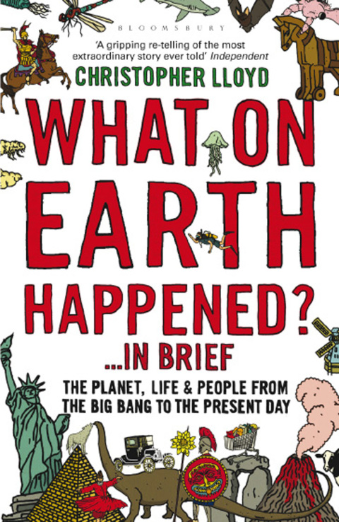 Cover image for book What on Earth Happened? ... In Brief