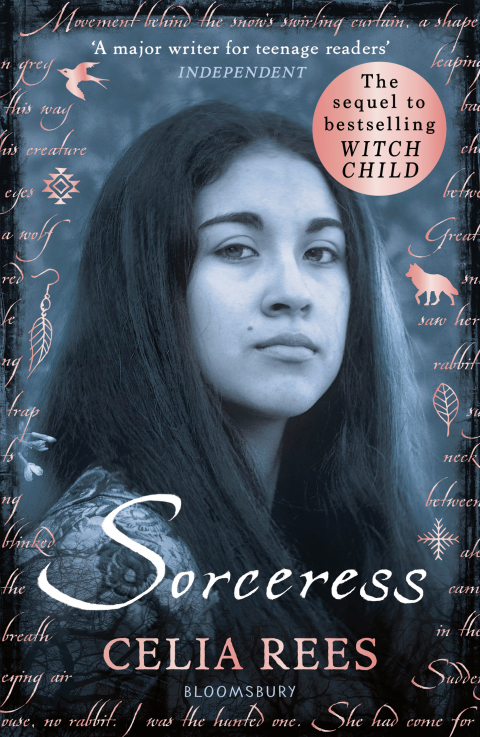 Cover image for book Sorceress