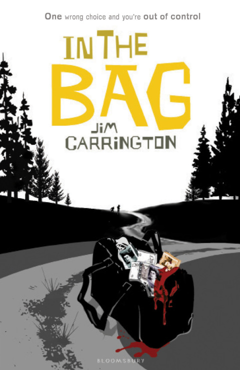 Cover image for book In the Bag