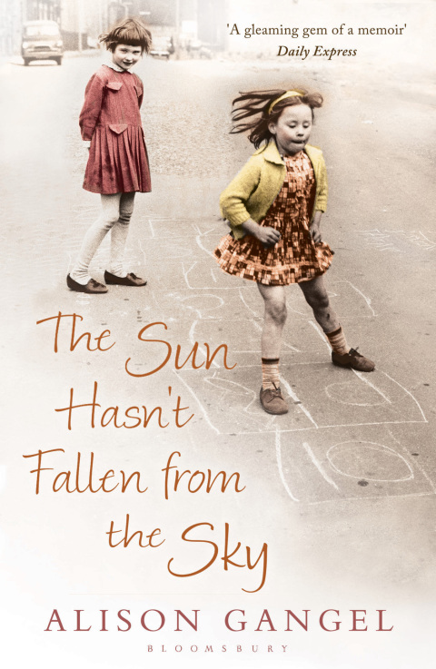 Cover image for book The Sun Hasn't Fallen From the Sky