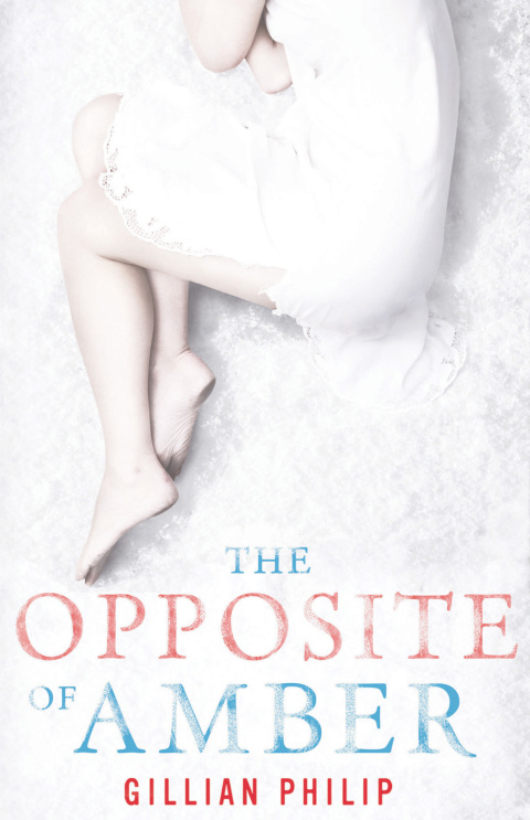 Cover image for book The Opposite of Amber