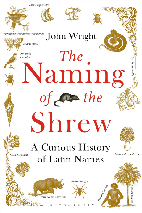 Cover image for book The Naming of the Shrew