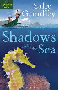 Cover image: Shadows under the Sea 1st edition 9781408819449