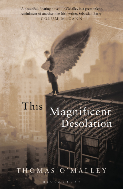This Magnificent Desolation 