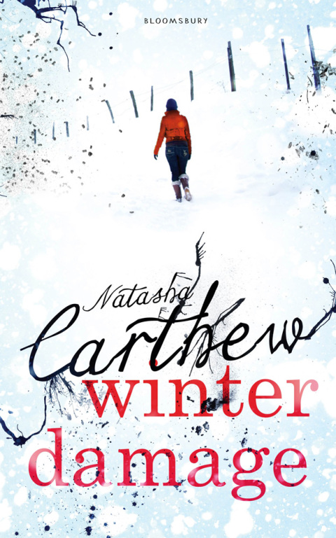 Cover image for book Winter Damage
