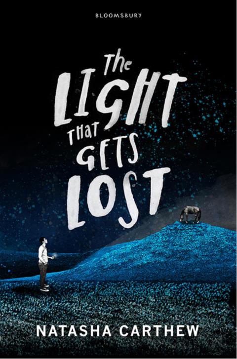 Cover image for book The Light That Gets Lost