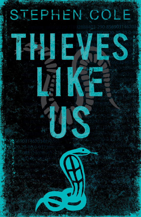Thieves Like Us 