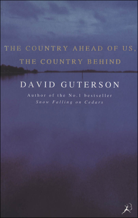 Cover image for book The Country Ahead of Us, the Country Behind