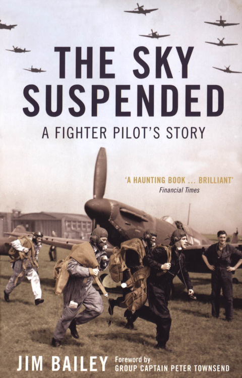 Cover image for book The Sky Suspended