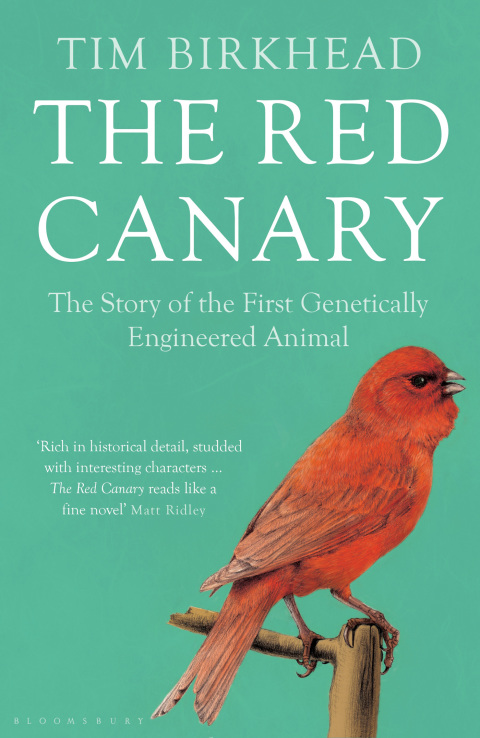 The Red Canary 
