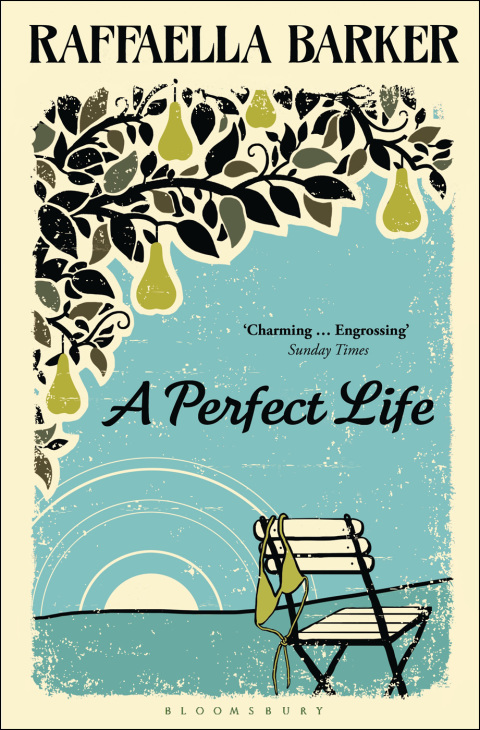 Cover image for book A Perfect Life