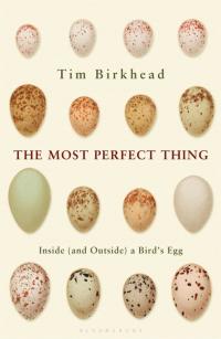 Titelbild: The Most Perfect Thing 1st edition 9781408851258