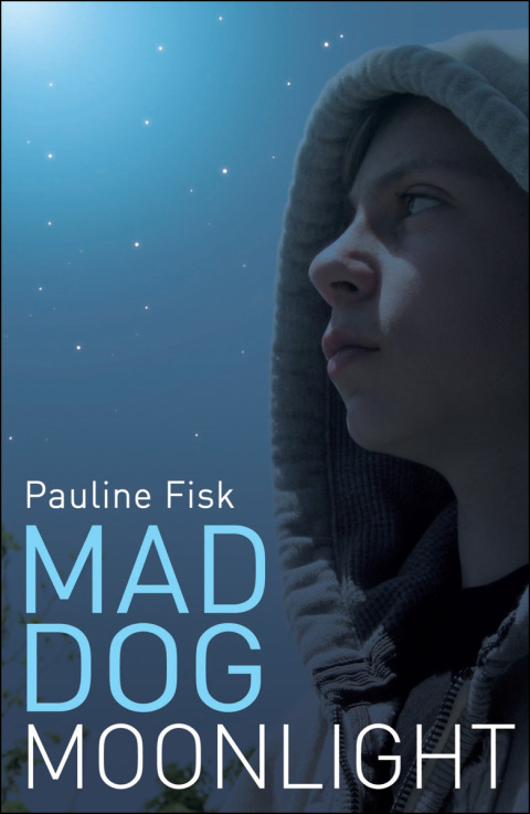 Cover image for book Mad Dog Moonlight