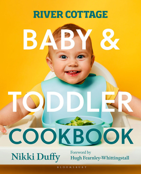 Cover image for book River Cottage Baby and Toddler Cookbook