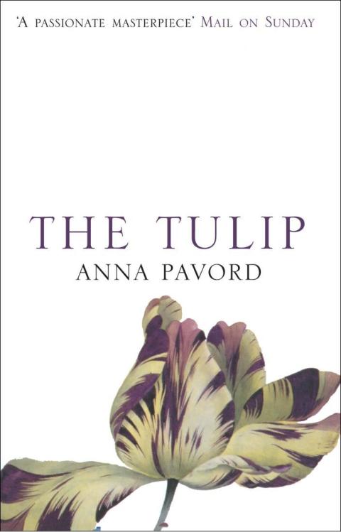 Cover image for book The Tulip