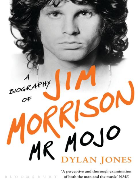 Cover image for book Mr Mojo