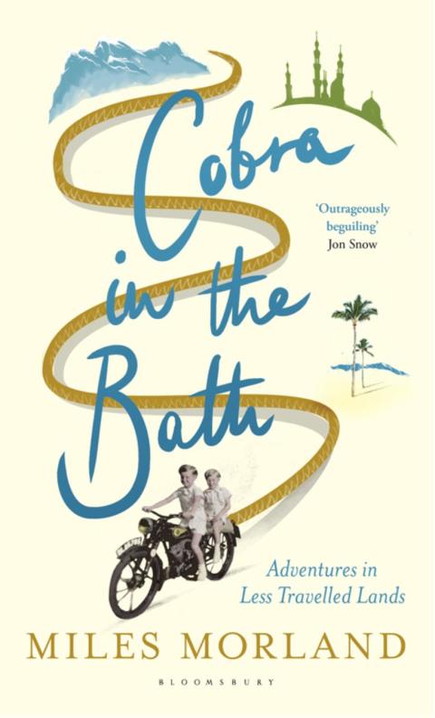 Cover image for book Cobra in the Bath
