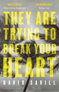 Cover image: They are Trying to Break Your Heart 1st edition 9781408865750