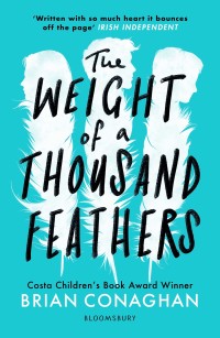 Cover image: The Weight of a Thousand Feathers 1st edition 9781408871546