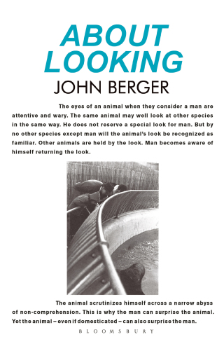 About Looking