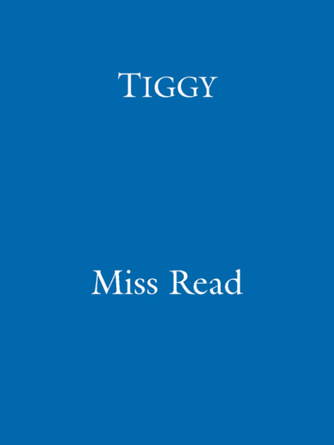 Cover image for book Tiggy