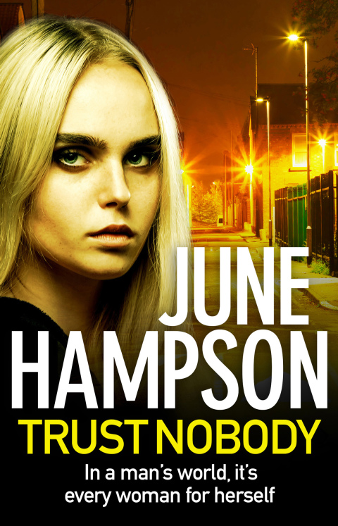 Cover image for book Trust Nobody