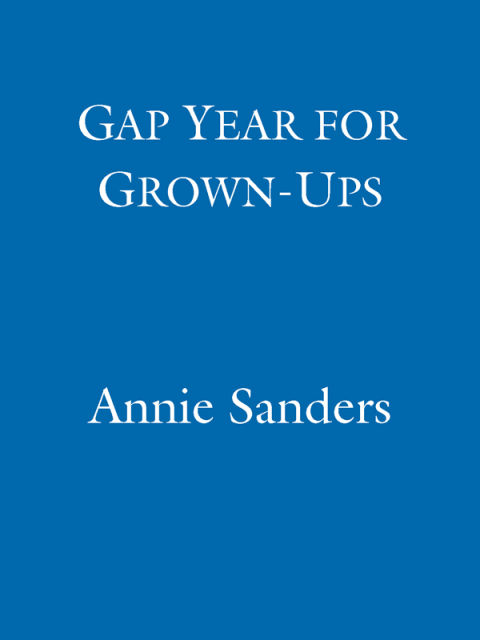 Cover image for book The Gap Year for Grown-Ups