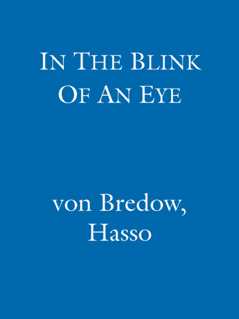 Cover image for book In the Blink of an Eye