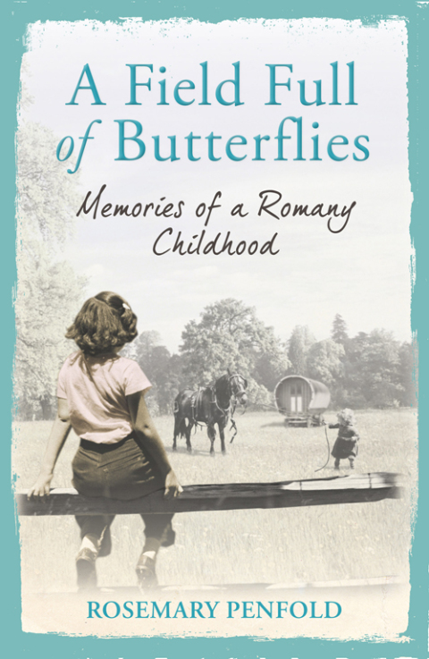 Cover image for book A Field Full of Butterflies