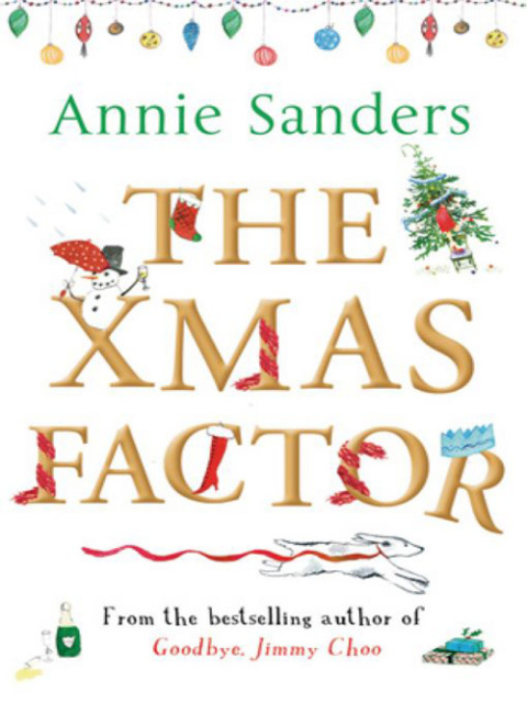 Cover image for book The Xmas Factor
