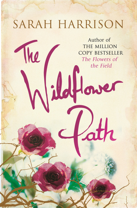 Cover image for book The Wildflower Path