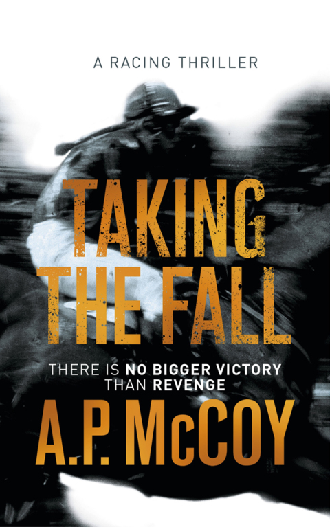 Cover image for book Taking the Fall