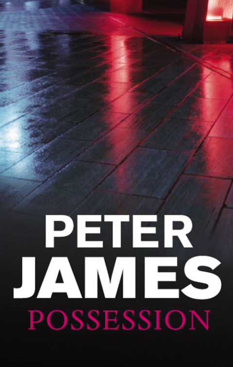 Cover image for book Possession