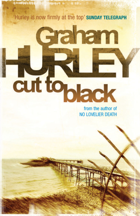 Cover image for book Cut To Black