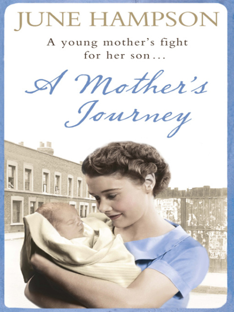 Cover image for book A Mother's Journey
